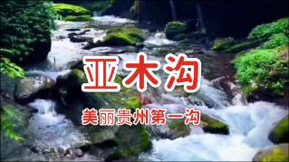 NiCr20TiAl(2.4952) 镍基高温合金