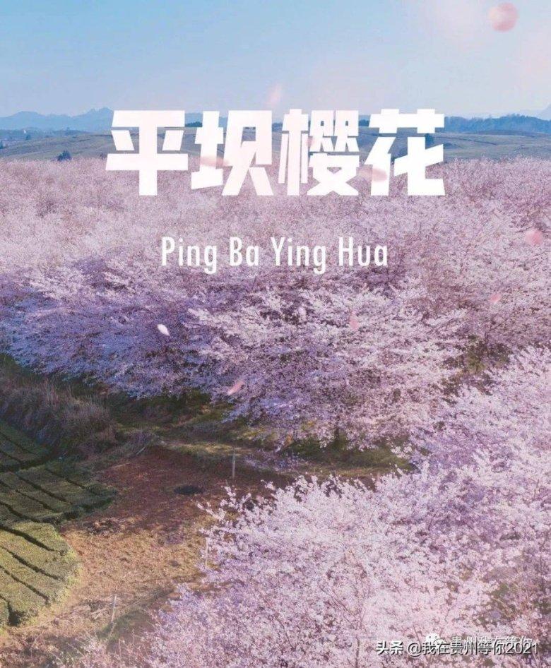 逗小猴开心系列182