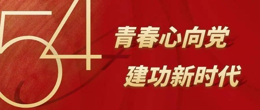 我修的可能是假仙