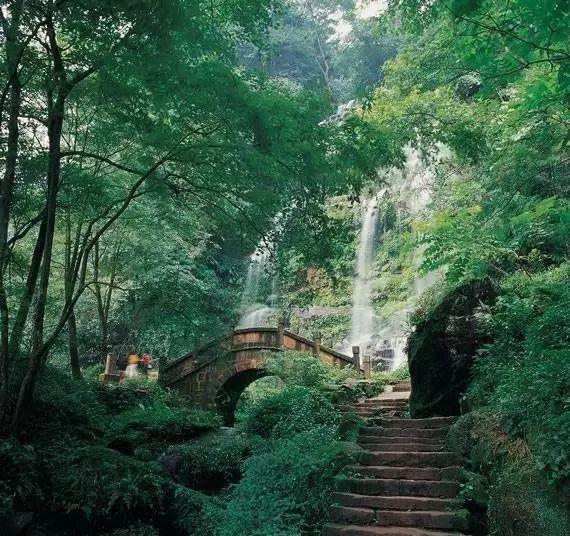 七星区 秋冬种植 闲田增收