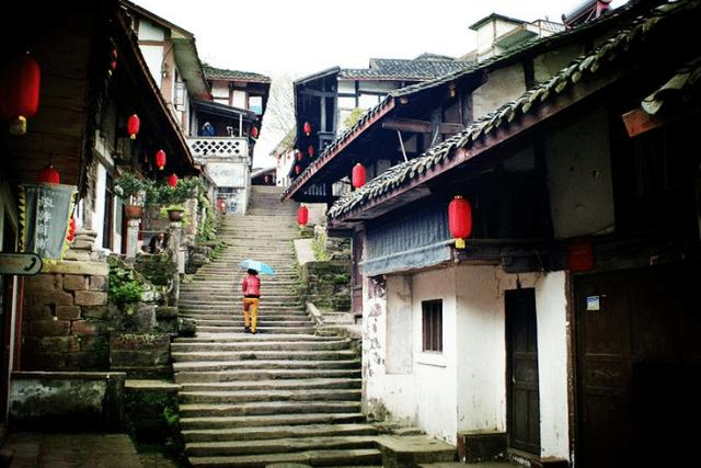 寻找沙漠珍宝